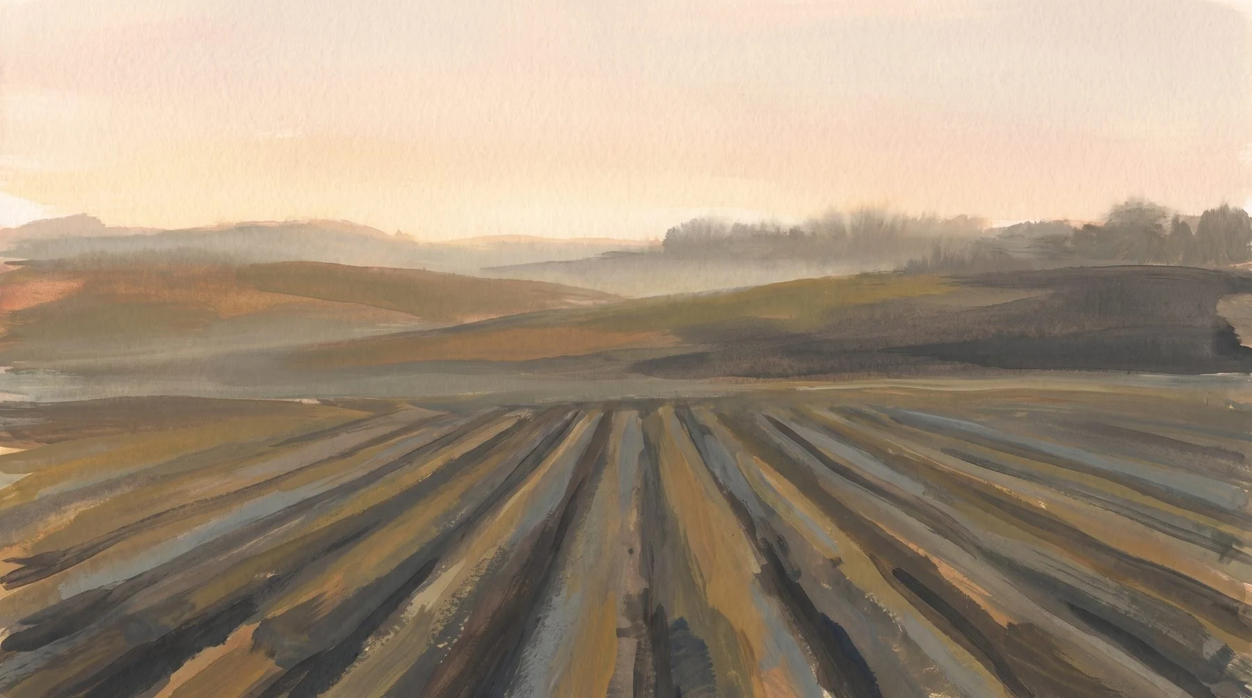 A furrowed field at dawn